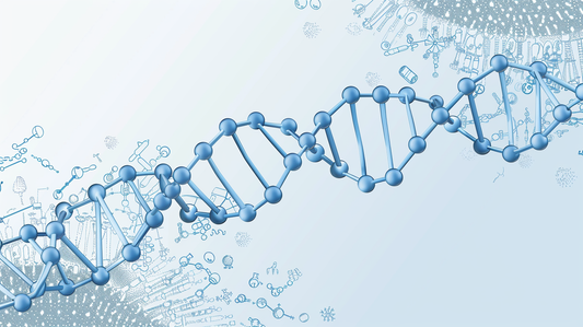 NAD+: Herstellung, Wirkung und Haltbarkeit von Lyophilisat im Vergleich zu Lösungen und Konzentraten