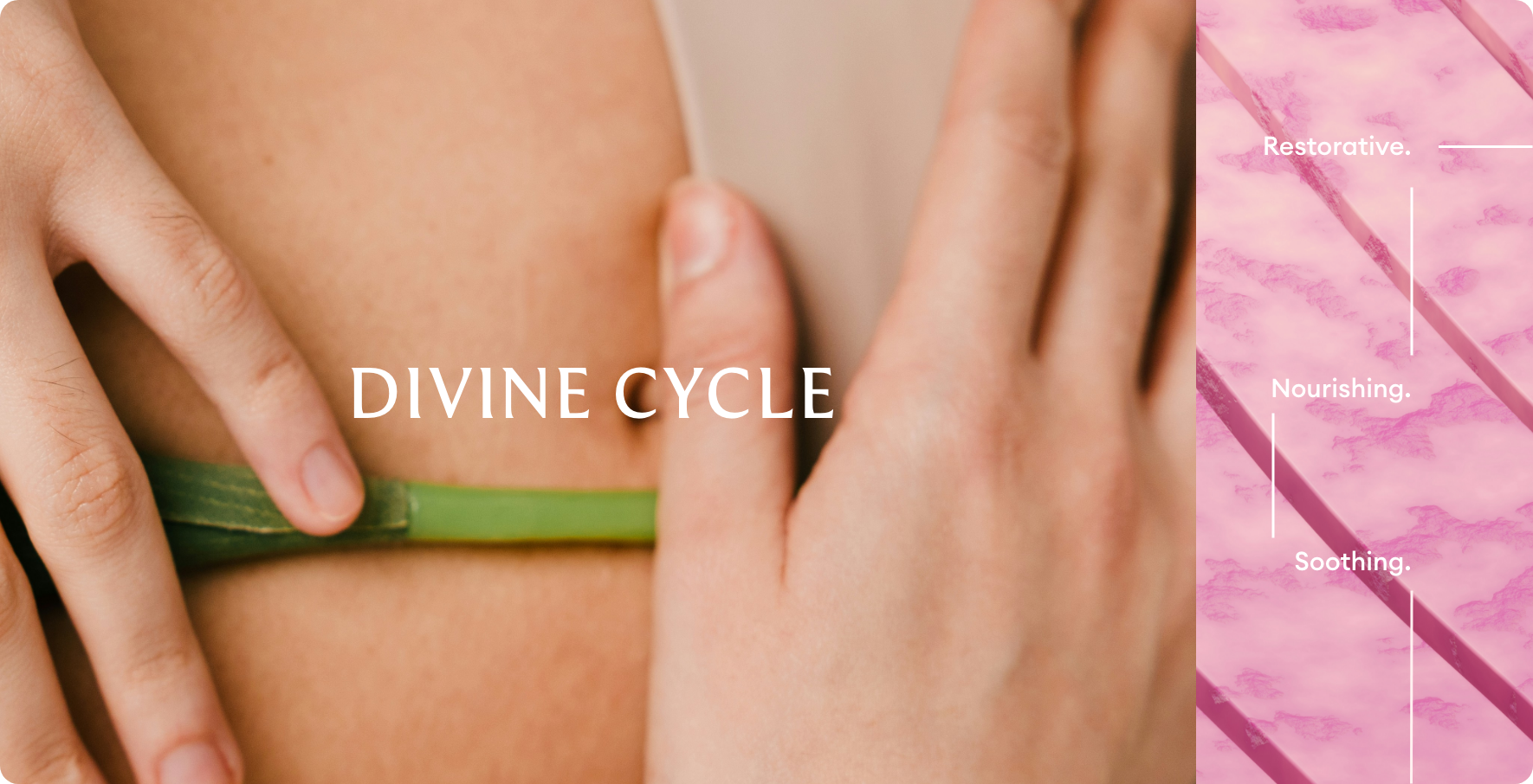 DIVINE CYCLE - MENOPAUSE Hero Image
